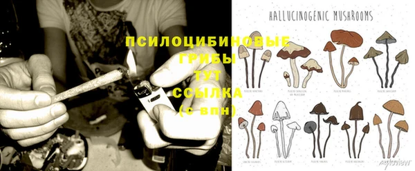 метадон Михайлов