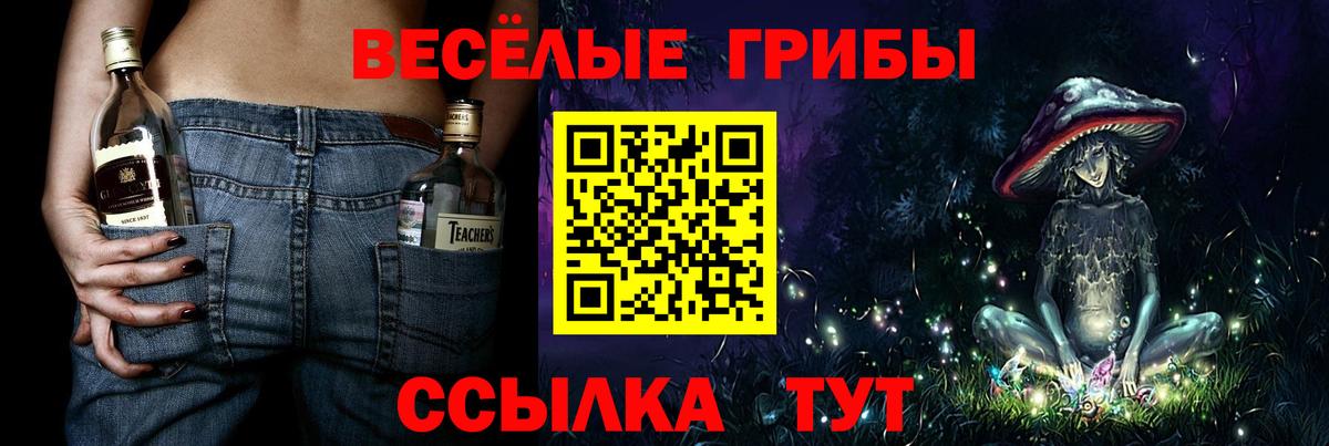 Псилоцибиновые грибы MAGIC MUSHROOMS  Вход с VPN  Томск 