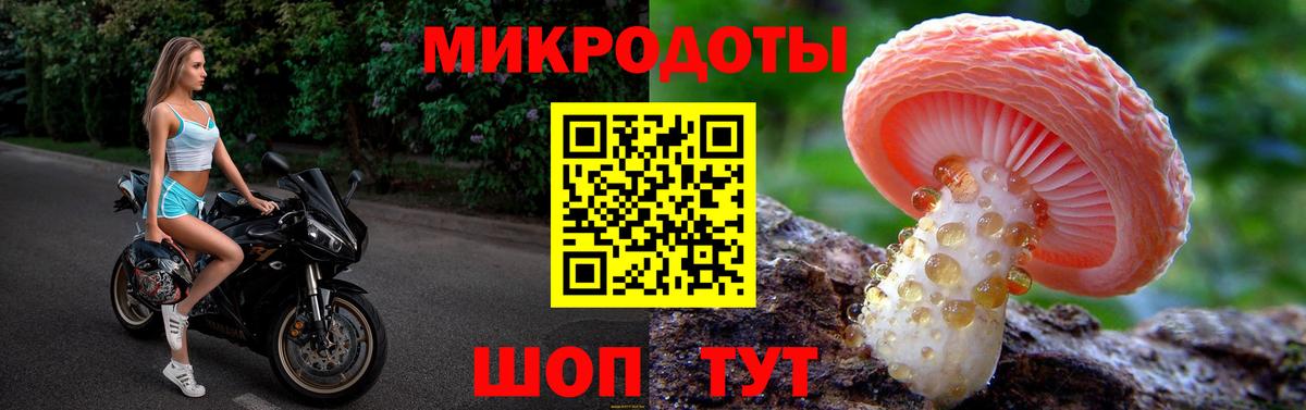 Псилоцибиновые грибы Psilocybine cubensis Томск